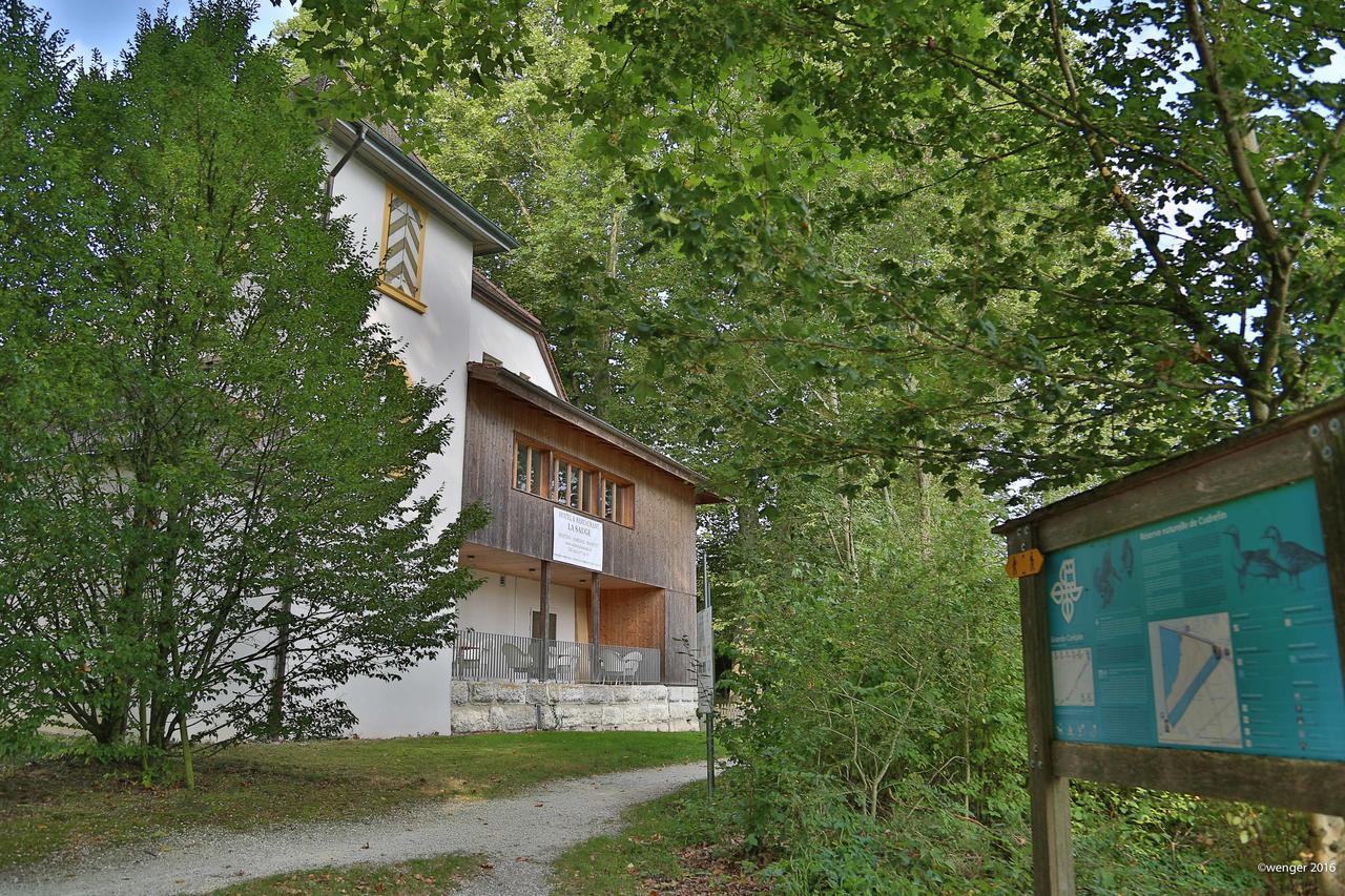 Hotel Domaine De La Sauge Cudrefin Exteriör bild